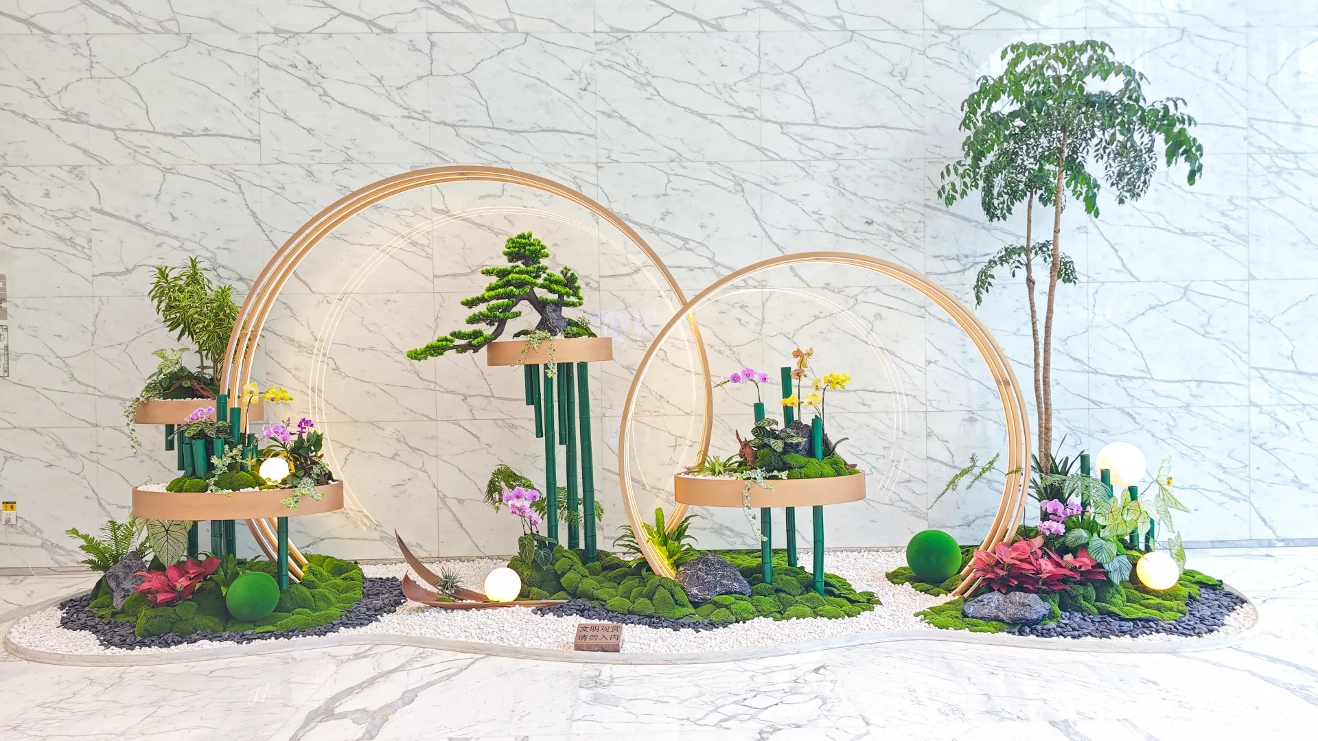 专业花卉出租,为杭州湾增添一抹绚丽色彩