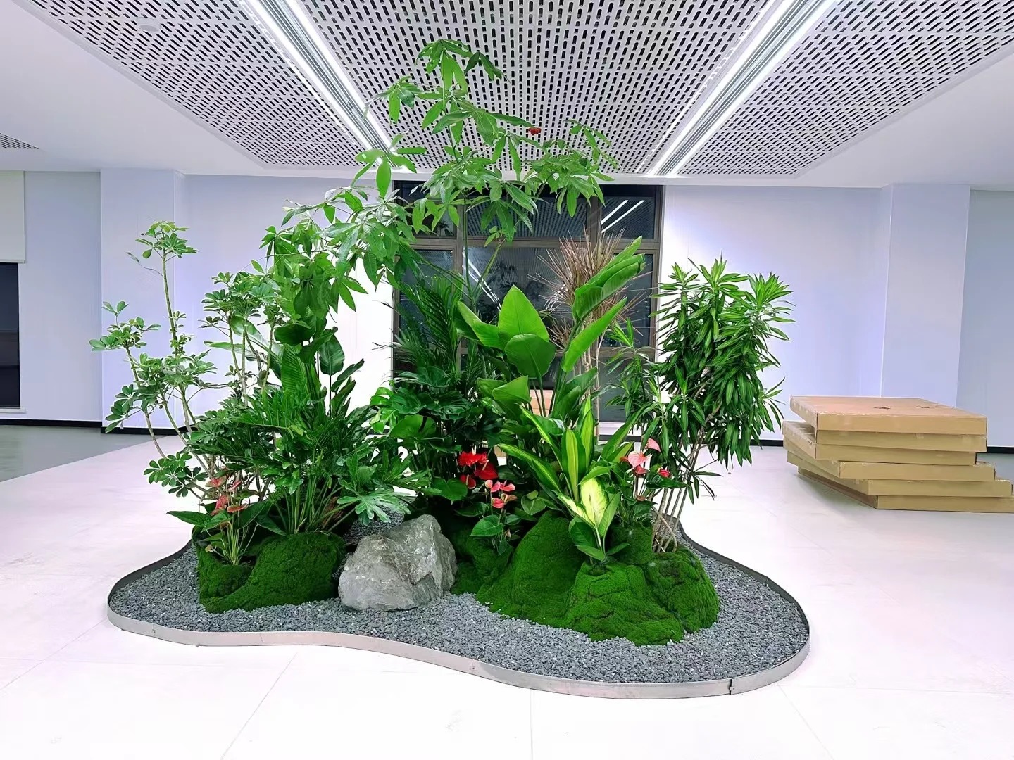 专业鄞州花卉出租设计,点亮您的空间之美!