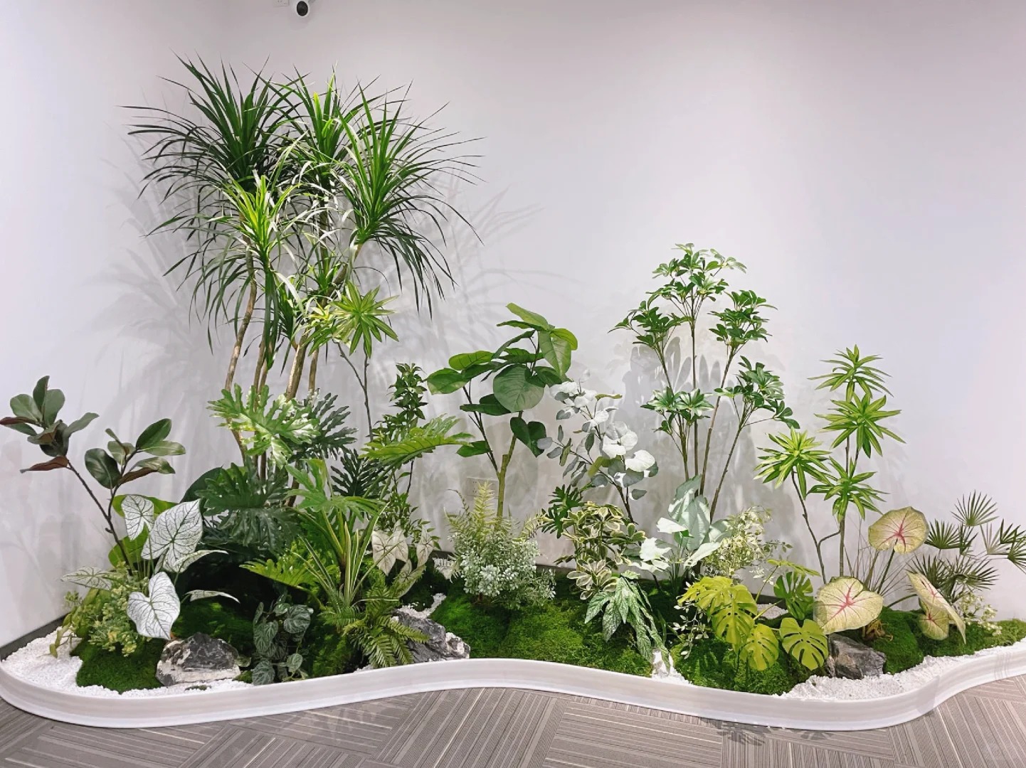 专业鄞州花卉出租设计,点亮您的空间之美!